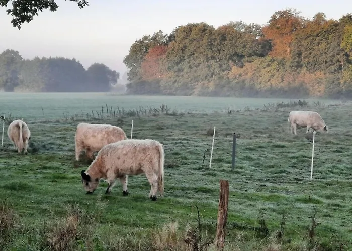 Vakantiehuis 06 Premium Pod 